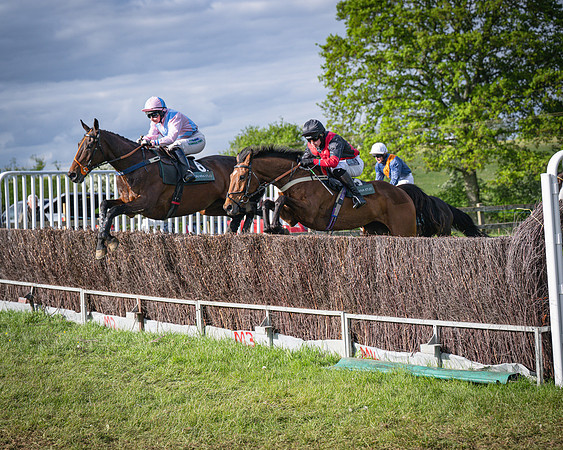 Race 7 - Walnut Hill PPORA club members maiden (38 of 104)