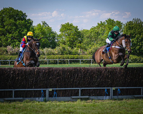 Race 3 The College and County Ladies Open Race (33 of 122)