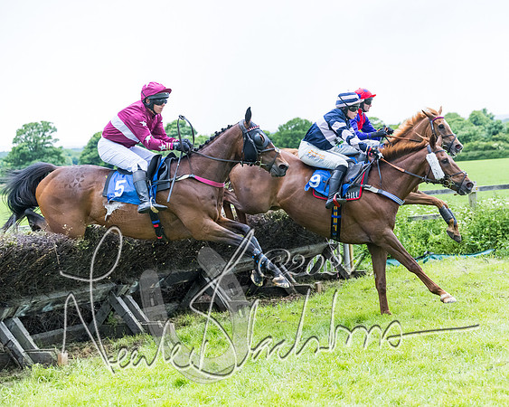 Race 3 - Conditions (228 of 367)