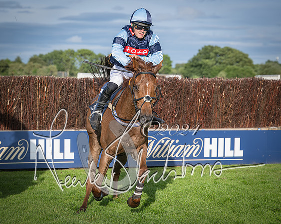 Race 3 - The pointtopoint.co.uk champion novices’ Hunter Chase (122 of 140)