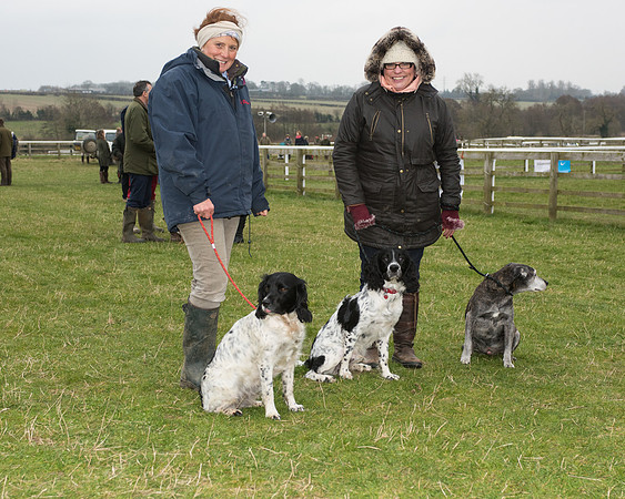 Bicester Ponies-156.jpg
