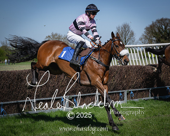 Race 2 - The Maiden (64 of 118)