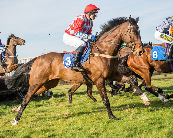 Race 5 - Restricted (37 of 146)
