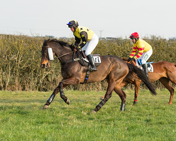 Race 6 - Open Maiden Race (37 of 99).jpg