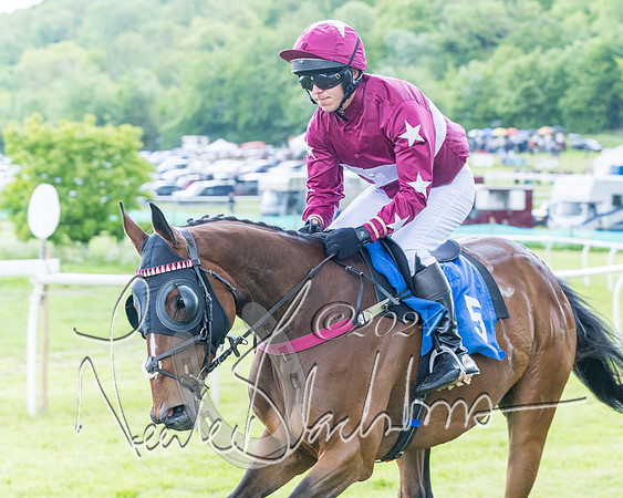 Race 3 - Conditions (130 of 367)