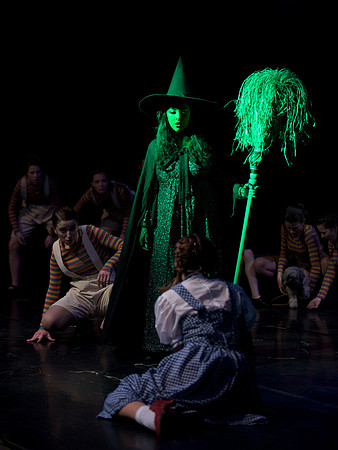 The Wizard of OZ -  357