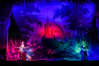 Swan Panto 2017