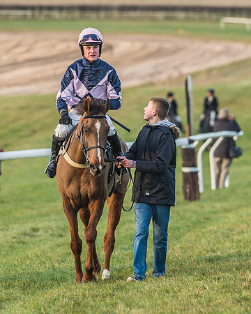 Race 6 - 4 5 6 yr old 2m4f Maiden Race-87