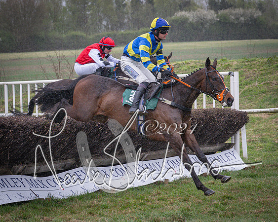 Race 7 - The Jockey Club maiden race for Mares and Fillies only (47 of 96)