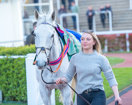 Race 7 - Glos Hussars  (39 of 245)