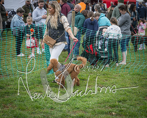 Bicester - Dog Show (85 of 106)