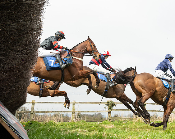 Race 2 - Veteran Horse (19 of 153)