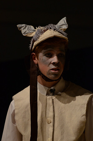 Wind in the Willows - Act-2  92
