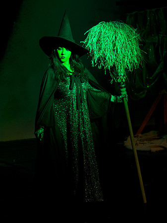 The Wizard of OZ -  79