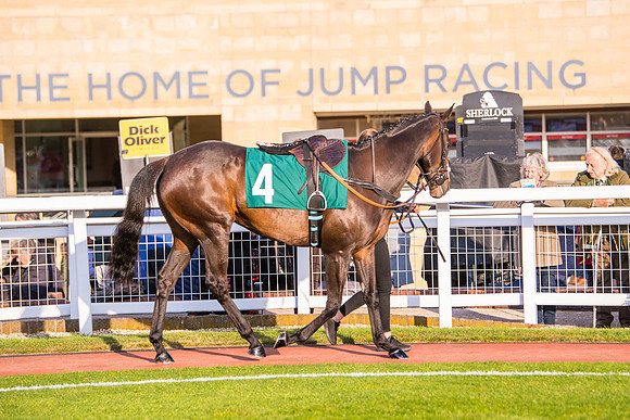 Race 5 - ITM Mares'  (6 of 181)
