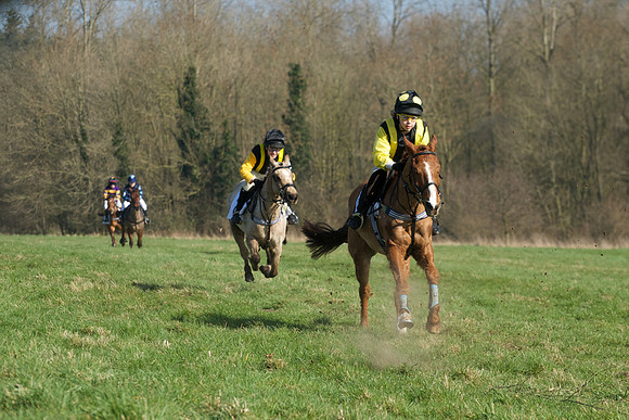 Pony Races -  26