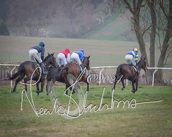 Race 7 - The Jockey Club maiden race for Mares and Fillies only (60 of 96)