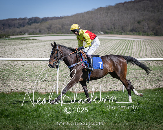 Race 2 - The Maiden (29 of 118)