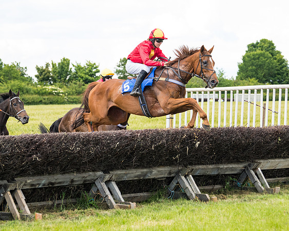 Race 5 - Restricted  (43 of 136)