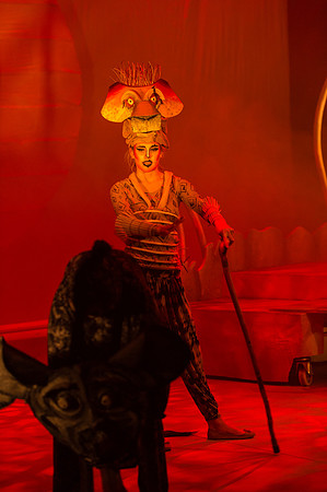 Lion King (168 of 484).jpg