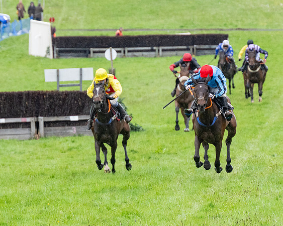Race 8 - Bumper Div 2 (44 of 84)