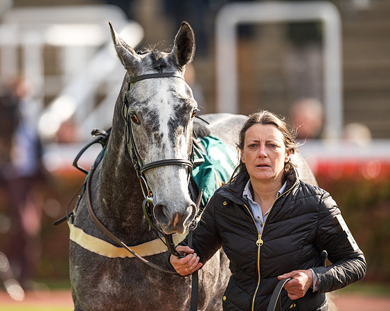 Race 2  -  Intermediate Point to Point Hunters' Steeple Chase (9 of 277)