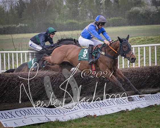 Race 7 - The Jockey Club maiden race for Mares and Fillies only (51 of 96)
