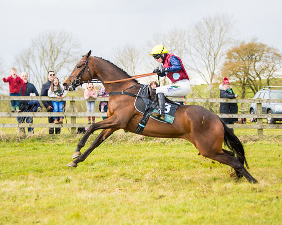 Race 5 - Restricted  (67 of 118)