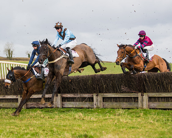 Race 2 - Open Maiden (61 of 128)