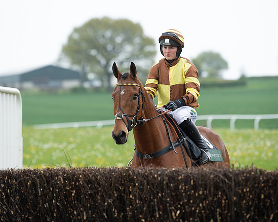 Race 2 - Jockey Club ROR veteran Horse (21 of 104)