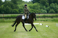Jackson Dressage 19