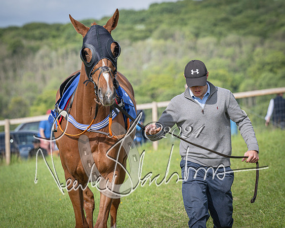 Race 6 - Thorn Plant Hire Maiden Race (7 of 129)