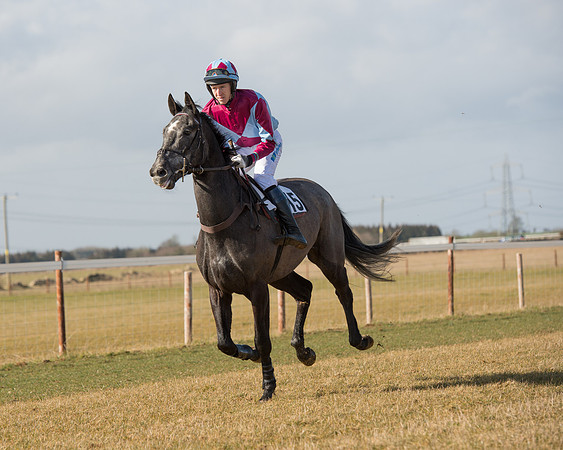 Race 1 - 4-5-6 Maiden (45 of 119).jpg