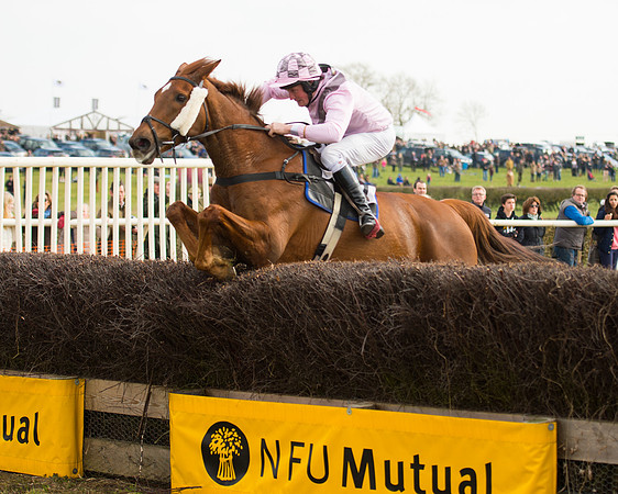 Race 2 - COnfined Hunts race (106 of 144).jpg