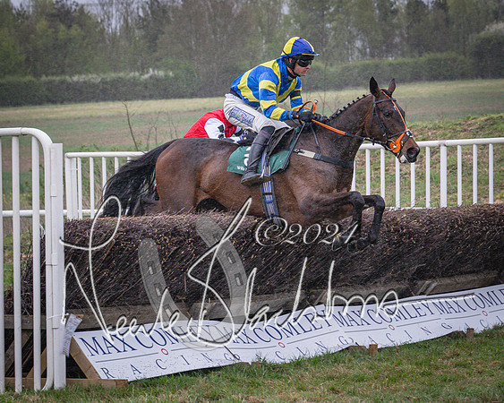 Race 7 - The Jockey Club maiden race for Mares and Fillies only (44 of 96)