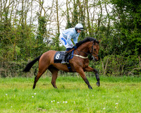 Race 3 - Young Horse Maiden (11 of 216)