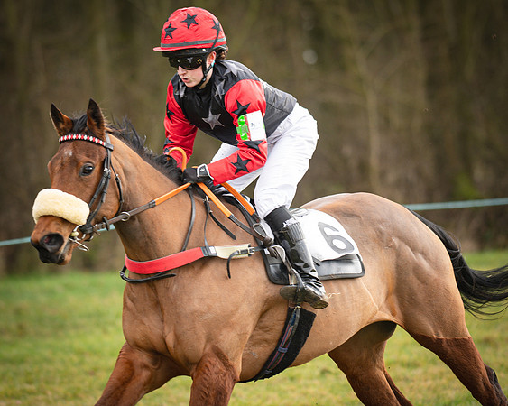 Pony Race 2 (62 of 79)