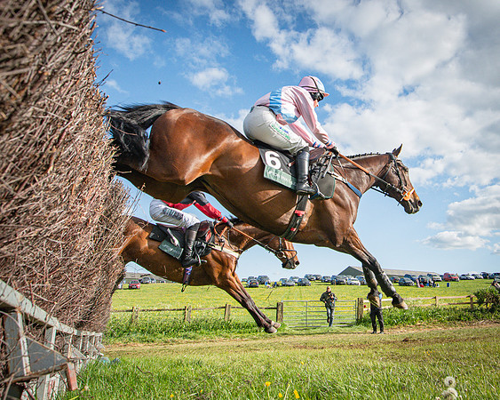 Race 7 - Walnut Hill PPORA club members maiden (12 of 104)