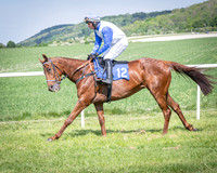 Race 2 The Highwayman Inn Restricted Race (7 of 144)