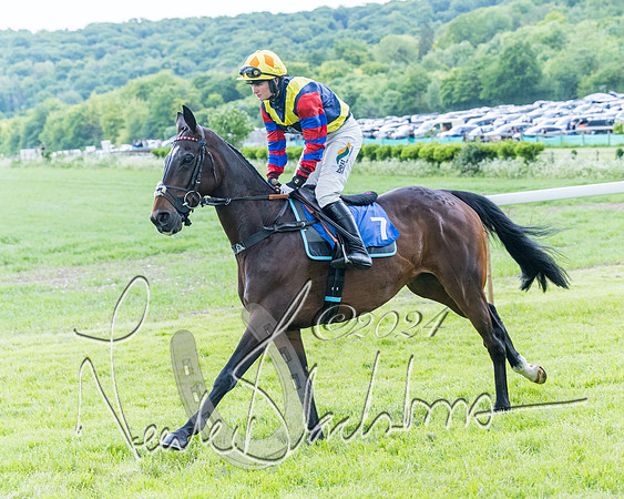Race 3 - Conditions (80 of 367)