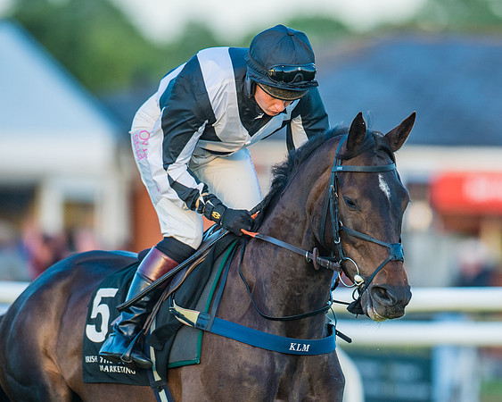 Race 7 - ITM Bumper (25 of 72)