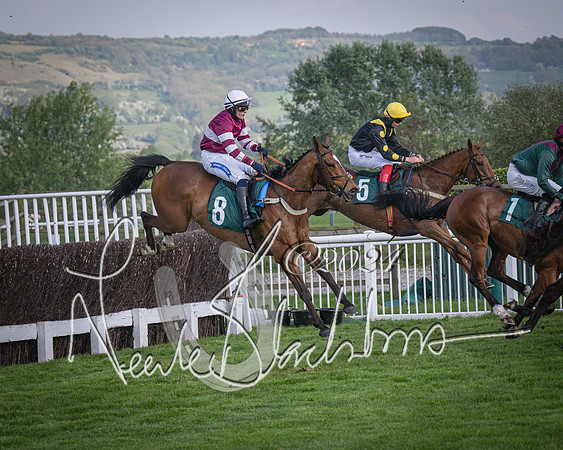 Race 2 - The Venatour sports travel intermediate point to point hunters’ steeplechase 5 year olds and over 3m2f (52 of 163)