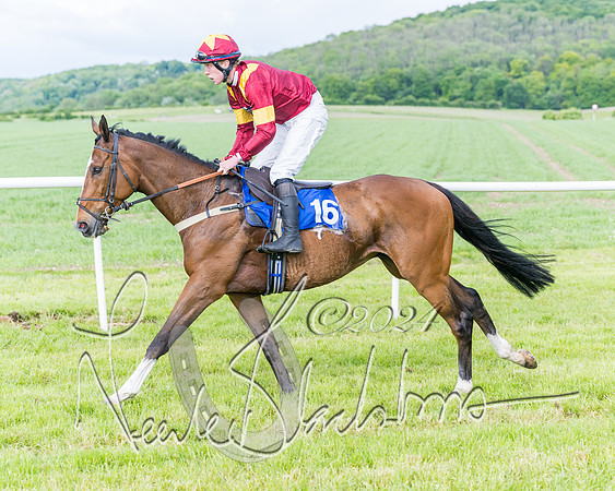 Race 5 - Restricted Race (166 of 434)