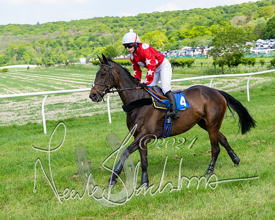 Race 3 - Ladies Open  (66 of 133)