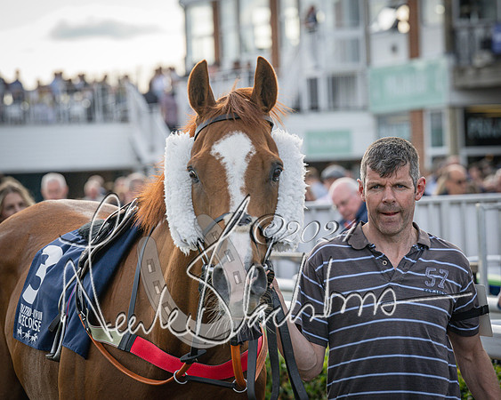Race 3 - The pointtopoint.co.uk champion novices’ Hunter Chase (19 of 140)