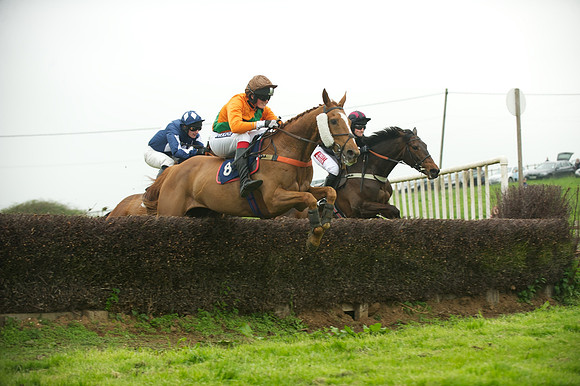 Race 2 - Novices 35