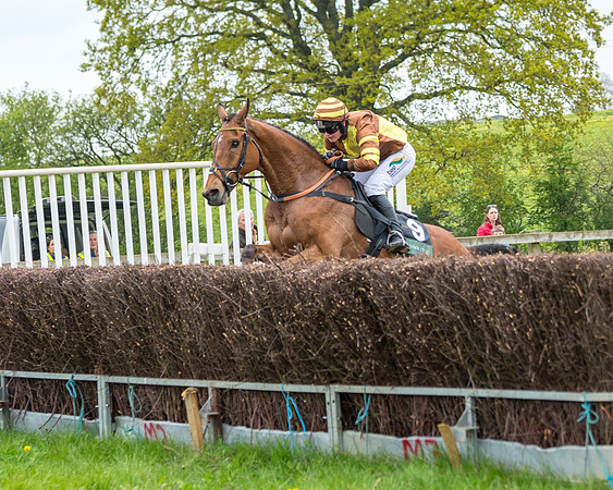 Race 2 - Jockey Club ROR veteran Horse (82 of 104)