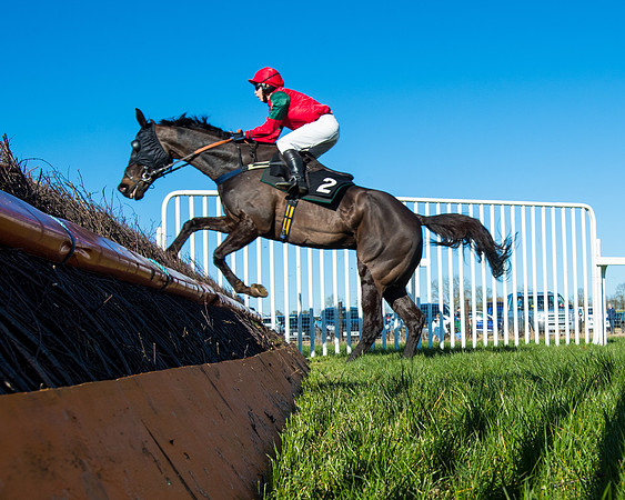 Race 5 - Novice riders (141 of 201)