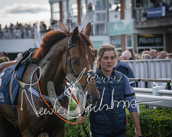 Race 3 - The pointtopoint.co.uk champion novices’ Hunter Chase (30 of 140)
