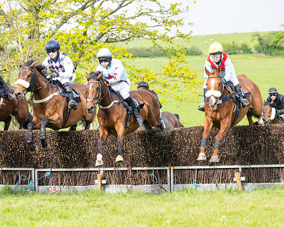 Race 5  - Novice riders (76 of 188)